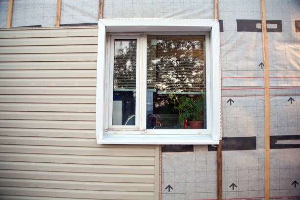 Best Historical Building Siding Restoration  in Brusly, LA