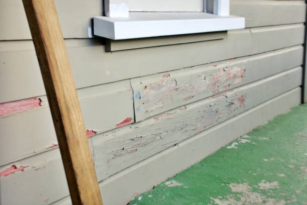  Brusly, LA Siding Installation Pros